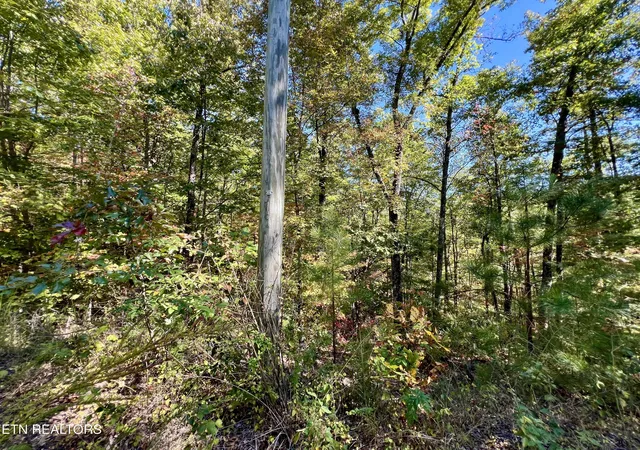 Photo 3 of Land for sale at 6 Acres Crk Holw Way, Sevierville, TN 37876 | MLS# 1320087 | Listing updated on 2026-10-16