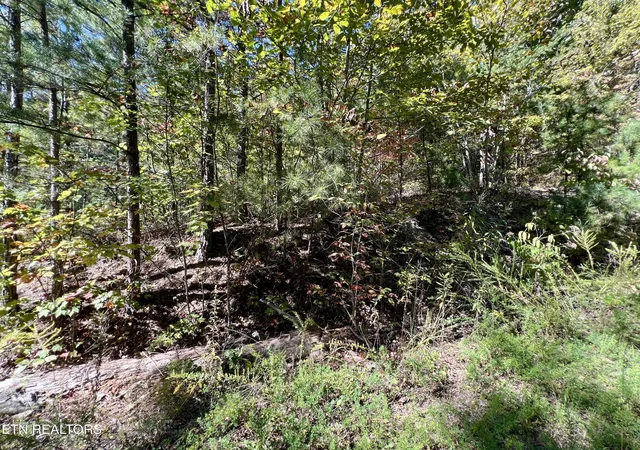 Photo 4 of Land for sale at 6 Acres Crk Holw Way, Sevierville, TN 37876 | MLS# 1320087 | Listing updated on 2026-10-16