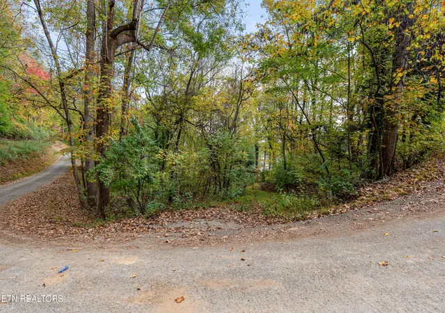 Homes for sale in Andersonville, TN | Engle Dr, Andersonville, TN 37705 | MLS# 1319970
