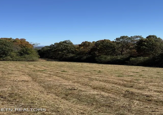 Photo 2 of Land for sale at Irene Ln, Loudon, TN 37774 | MLS# 1320090 | Listing updated on 2026-09-28