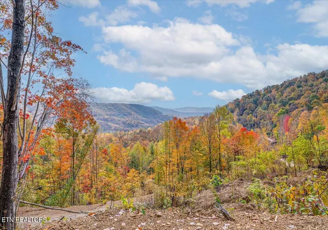 5th image of 00 Buffalo Rd, Oneida, TN 37841 | MLS# 1321192