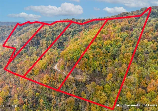 2nd image of 00 Buffalo Rd, Oneida, TN 37841 | MLS# 1321192