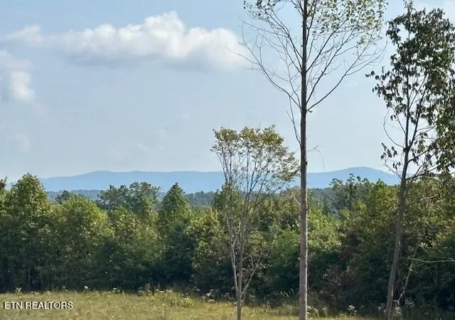 1st image of Otis Daivs Rd, Pikeville, TN 37367 | MLS# 1320252