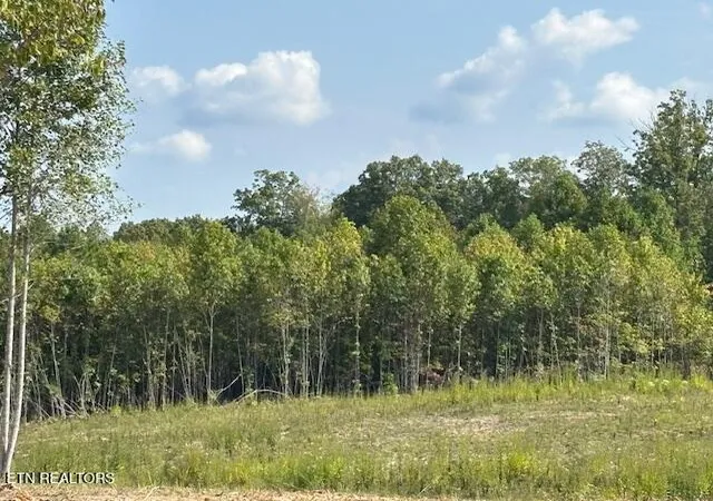 3rd image of Otis Daivs Rd, Pikeville, TN 37367 | MLS# 1320252