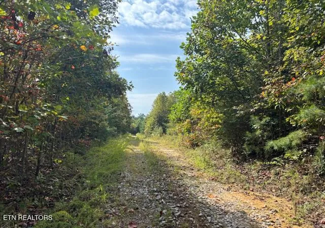 4th image of Otis Daivs Rd, Pikeville, TN 37367 | MLS# 1320252