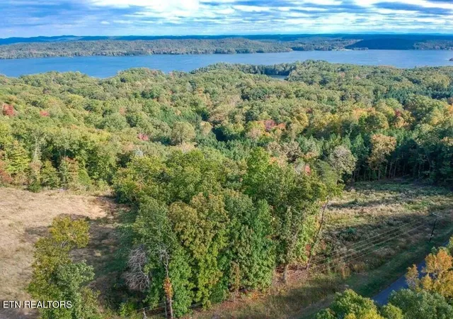 Homes for sale in Spring City, TN | Lot 272 Spruce Dr, Spring City, TN 37381 | MLS# 1320651