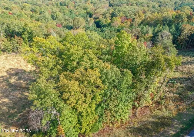 Homes for sale in Spring City, TN | Lot 272 Spruce Dr, Spring City, TN 37381 | MLS# 1320651