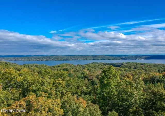 Homes for sale in Spring City, TN | Lot 272 Spruce Dr, Spring City, TN 37381 | MLS# 1320651