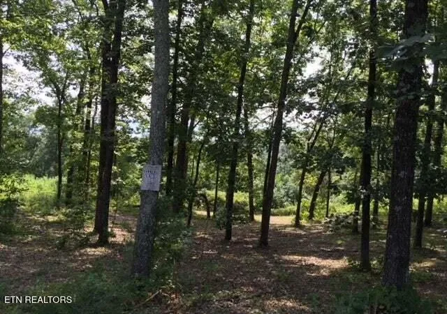 Homes for sale in Spring City, TN | Lot 272 Spruce Dr, Spring City, TN 37381 | MLS# 1320651