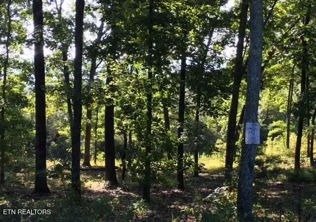 Homes for sale in Spring City, TN | Lot 272 Spruce Dr, Spring City, TN 37381 | MLS# 1320651