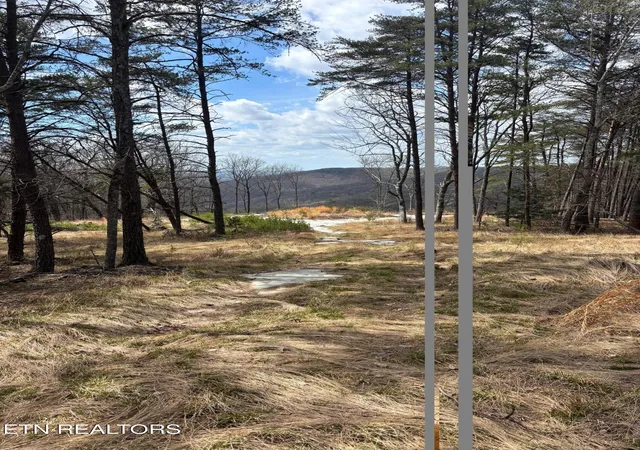 4th image of 1560 E Overlook Rd, Monterey, TN 38574 | MLS# 1334894