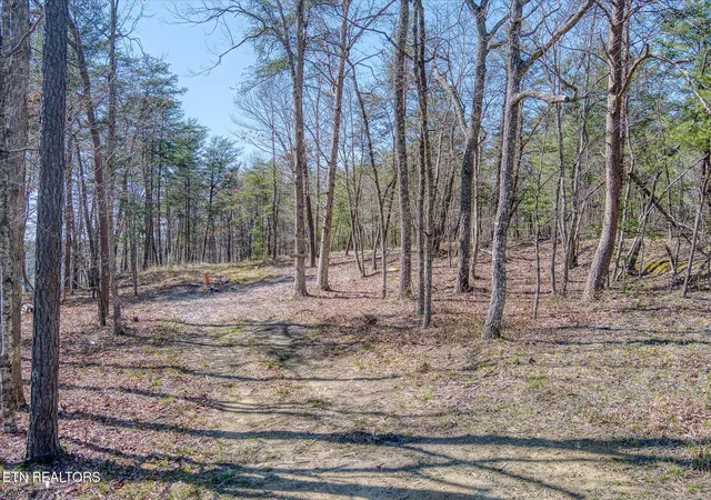 5th image of 1560 E Overlook Rd, Monterey, TN 38574 | MLS# 1334894