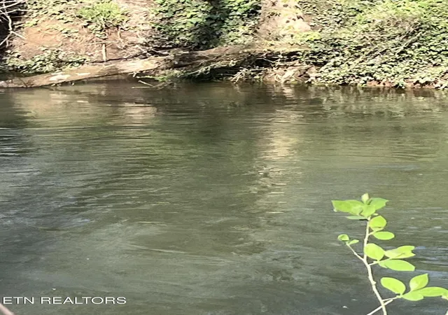 3rd image of 2168 Fairview Rd, Tellico Plains, TN 37385 | MLS# 1321337