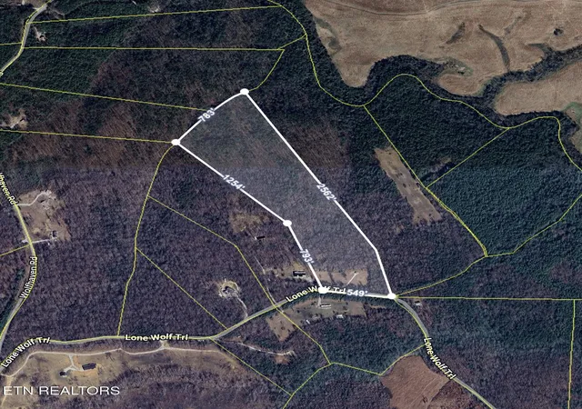 12th image of 0 Lone Wolf Tr, Spencer, TN 38585 | MLS# 1320776