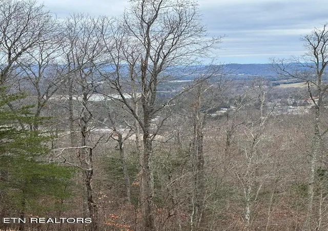 5th image of L-265 Marble Point Way, New Tazewell, TN 37825 | MLS# 1321177