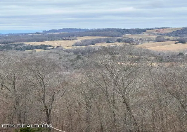 8th image of L 265 Marble Point Way, New Tazewell, TN 37825 | MLS# 1321177