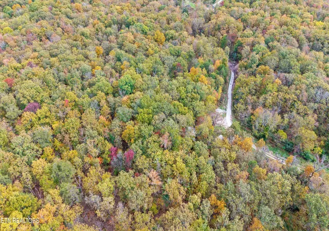 Photo 3 of Land for sale at 285 Raeanne Dr, Spring City, TN 37381 | MLS# 1321257 | Listing updated on 2026-05-29