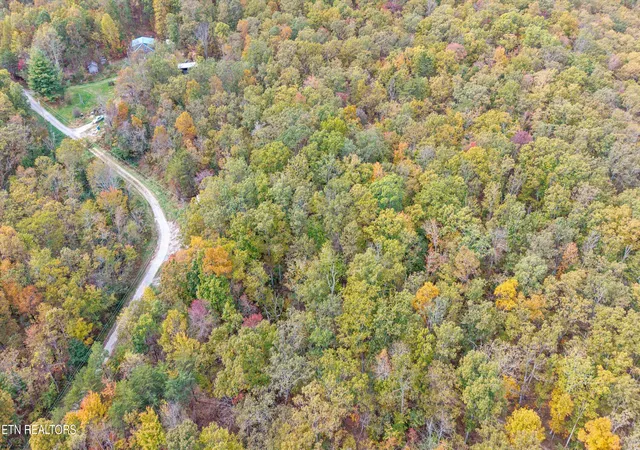 Photo 4 of Land for sale at 285 Raeanne Dr, Spring City, TN 37381 | MLS# 1321257 | Listing updated on 2026-05-29