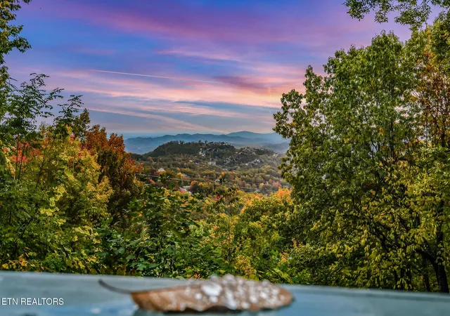 Homes for sale in Gatlinburg, TN | 1819 W Arolla Ct Ct, Gatlinburg, TN 37738 | MLS# 1321299