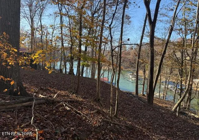 1st image of Deer Run Pl, La Follette, TN 37766 | MLS# 1321408