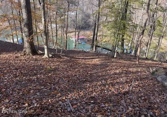 2nd image of Deer Run Pl, La Follette, TN 37766 | MLS# 1321408