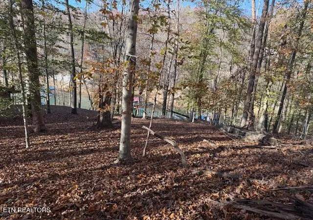 Photo 3 of Land for sale at Deer Run Pl, La Follette, TN 37766 | MLS# 1321408 | Listing updated on 2026-07-28