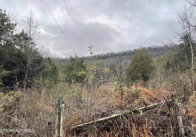 1st image of Reagan Valley Rd, Tellico Plains, TN 37385 | MLS# 1325005