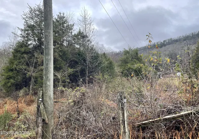 2nd image of Reagan Valley Rd, Tellico Plains, TN 37385 | MLS# 1325005