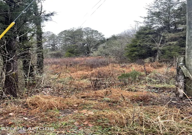 3rd image of Reagan Valley Rd, Tellico Plains, TN 37385 | MLS# 1325005