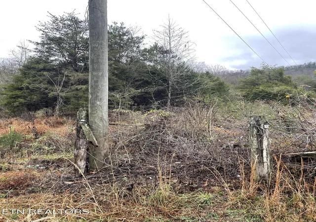 4th image of Reagan Valley Rd, Tellico Plains, TN 37385 | MLS# 1325005