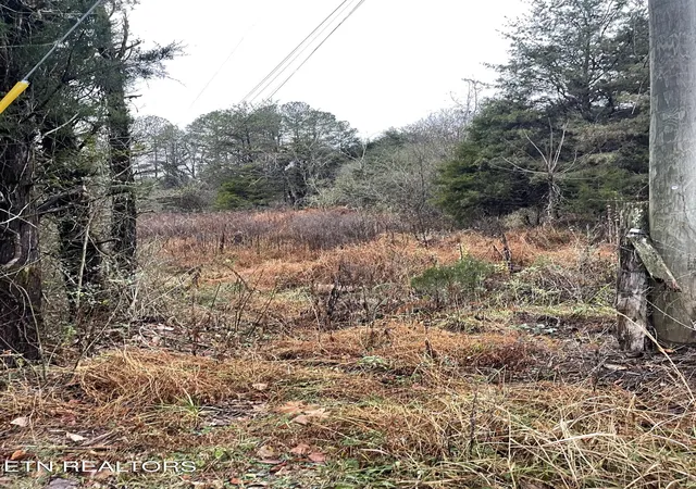 5th image of Reagan Valley Rd, Tellico Plains, TN 37385 | MLS# 1325005