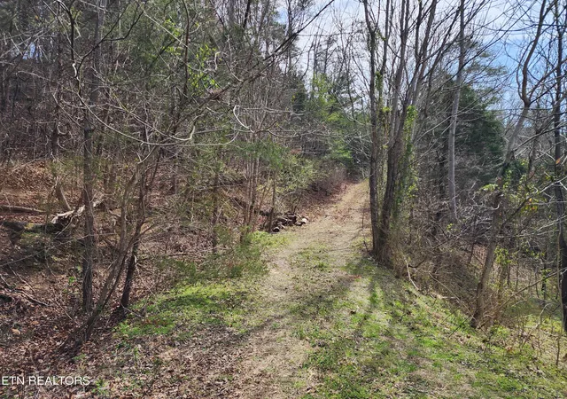 Homes for sale in Dandridge, TN | Lot 27 Caywood Rd, Dandridge, TN 37725 | MLS# 1323339