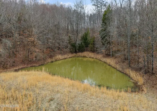 21st image of 1201 Laurel Bluff Rd, Kingston, TN 37763 | MLS# 1330075