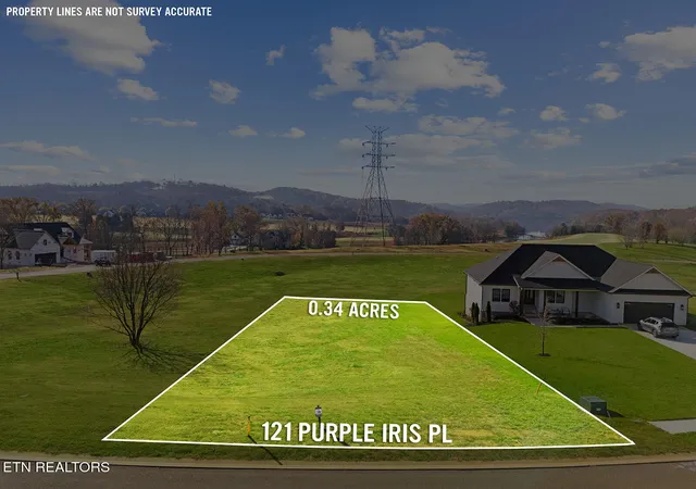 Homes for sale in Loudon, TN | 121 Purple Iris Pl, Loudon, TN 37774 | MLS# 1322045