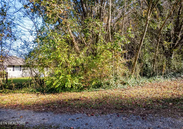 5th image of W Millers Cove Rd, Walland, TN 37886 | MLS# 1322349