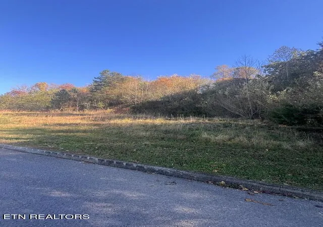 Homes for sale in Andersonville, TN | Anchor Ln, Andersonville, TN 37705 | MLS# 1322373