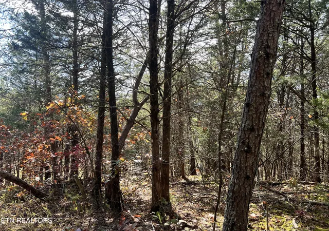 11th image of Tract 2 110 Rankin Hill Rd, Newport, TN 37821 | MLS# 1322920