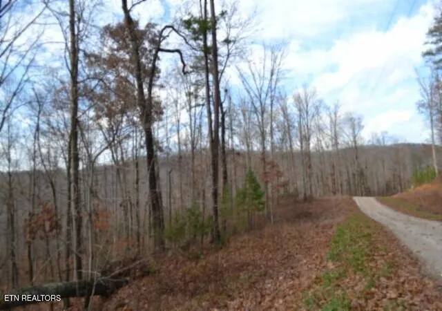 Homes for sale in Jamestown, TN | Lot 75 Tomahawk Rd, Jamestown, TN 38556 | MLS# 1322829