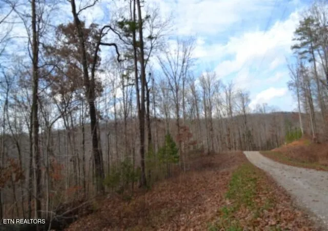 Homes for sale in Jamestown, TN | Lot 75 Tomahawk Rd, Jamestown, TN 38556 | MLS# 1322829