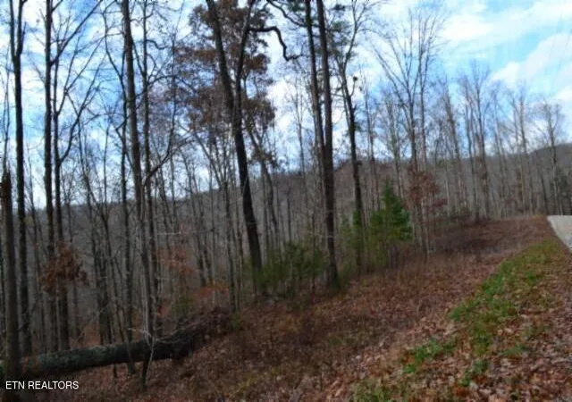Homes for sale in Jamestown, TN | Lot 75 Tomahawk Rd, Jamestown, TN 38556 | MLS# 1322829
