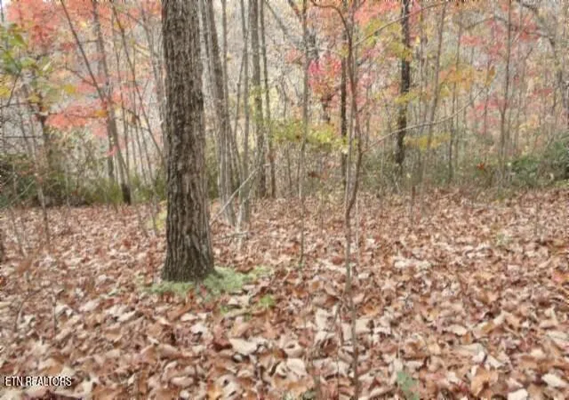 Photo 1 of Land for sale at Lot 349 Drew Ct, Smithville, TN 37166 | MLS# 1322881 | Listing updated on 2025-11-25