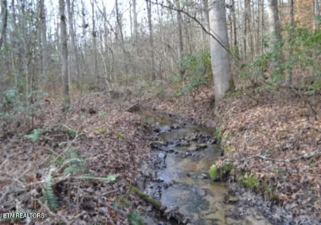 Photo 2 of Land for sale at Lot 4 Shotgun Annie Rd, Jamestown, TN 38556 | MLS# 1323331 | Listing updated on 2026-09-08