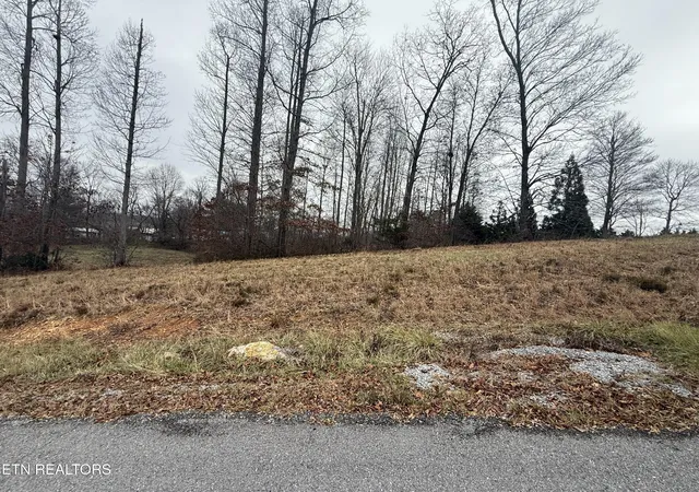 Photo 3 of Land for sale at Lot #6 Oak Point Dr, Jonesville, VA 24263 | MLS# 1323487 | Listing updated on 2026-06-05