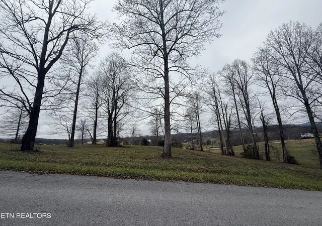 Photo 3 of Land for sale at Lot #23 Oak Point Dr, Jonesville, VA 24263 | MLS# 1323499 | Listing updated on 2026-06-05