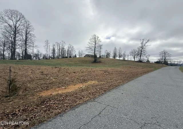 Photo 3 of Land for sale at Lot #29 Oak Point Dr, Jonesville, VA 24263 | MLS# 1323501 | Listing updated on 2026-06-05
