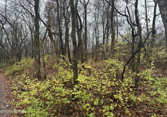 4th image of 174 Veterans Rd Rd, Sweetwater, TN 37874 | MLS# 1323735