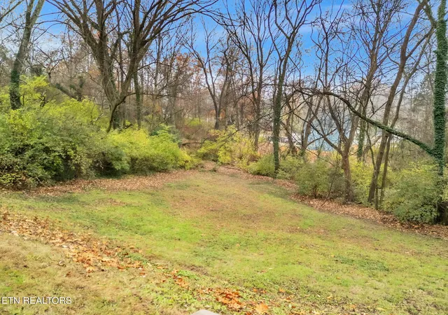 Listing Photo 5 - Condo for sale in building located at 412 Watagua Dr, Knoxville, TN 37918