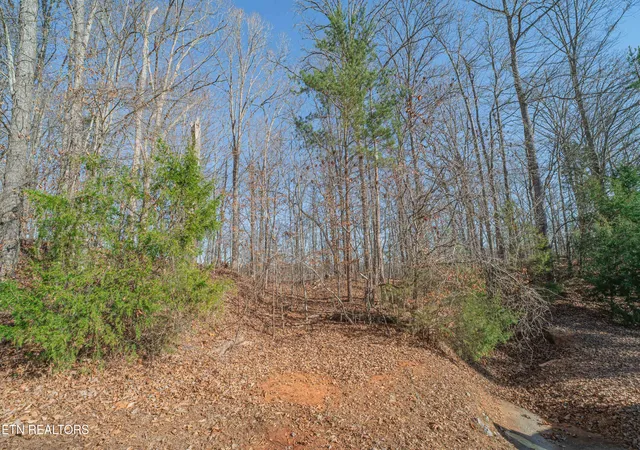 1st image of Sheerwater Rd, Kingston, TN 37763 | MLS# 1324326