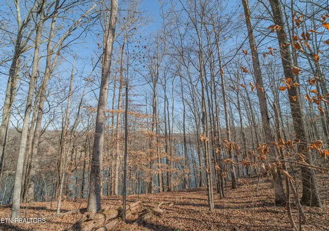 2nd image of Sheerwater Rd, Kingston, TN 37763 | MLS# 1324326