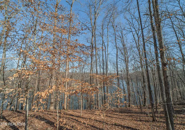3rd image of Sheerwater Rd, Kingston, TN 37763 | MLS# 1324326